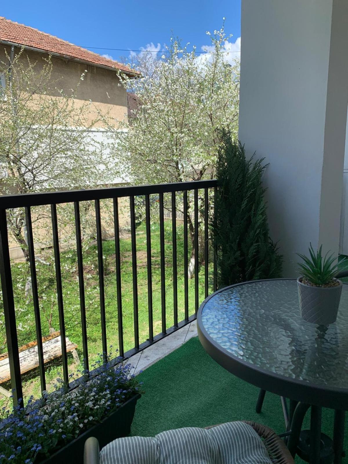 Rose Apartment Piatra Neamţ Exterior foto